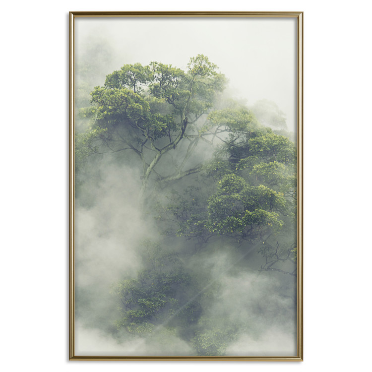 Wall Poster Misty Amazon - landscape of green tree crowns amidst dense fog 129421 additionalImage 17