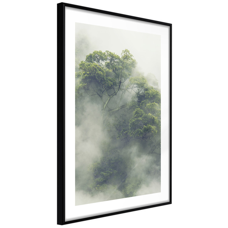 Wall Poster Misty Amazon - landscape of green tree crowns amidst dense fog 129421 additionalImage 6