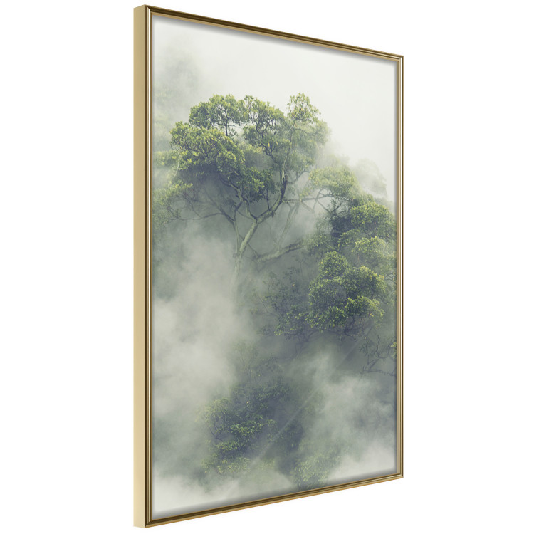 Wall Poster Misty Amazon - landscape of green tree crowns amidst dense fog 129421 additionalImage 12