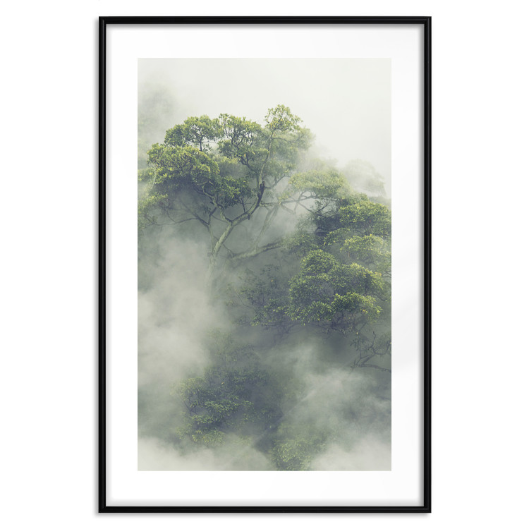 Wall Poster Misty Amazon - landscape of green tree crowns amidst dense fog 129421 additionalImage 15