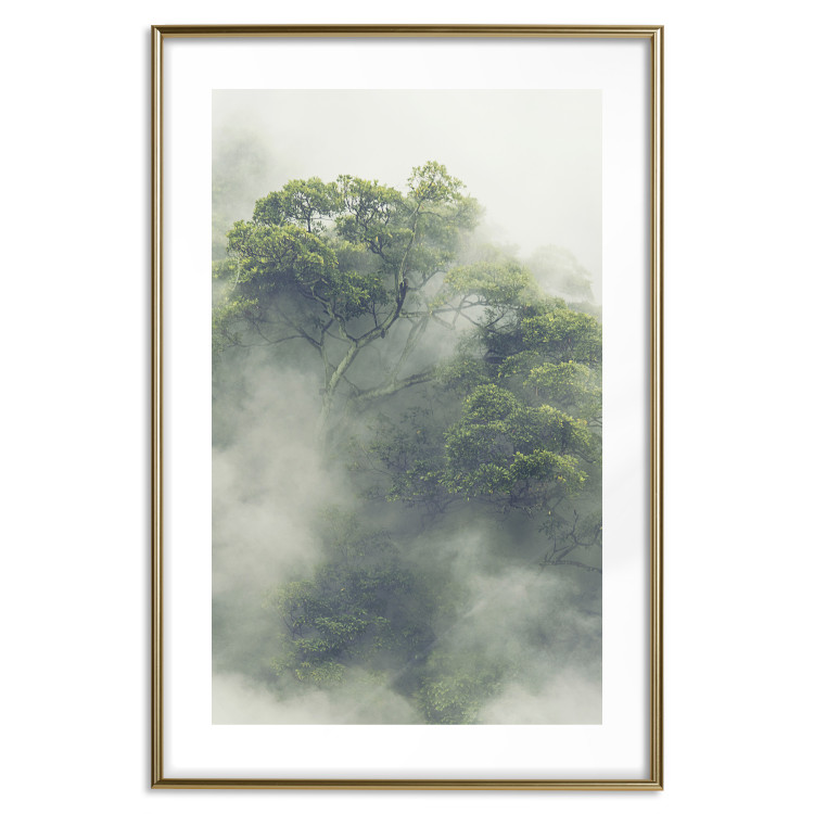 Wall Poster Misty Amazon - landscape of green tree crowns amidst dense fog 129421 additionalImage 14