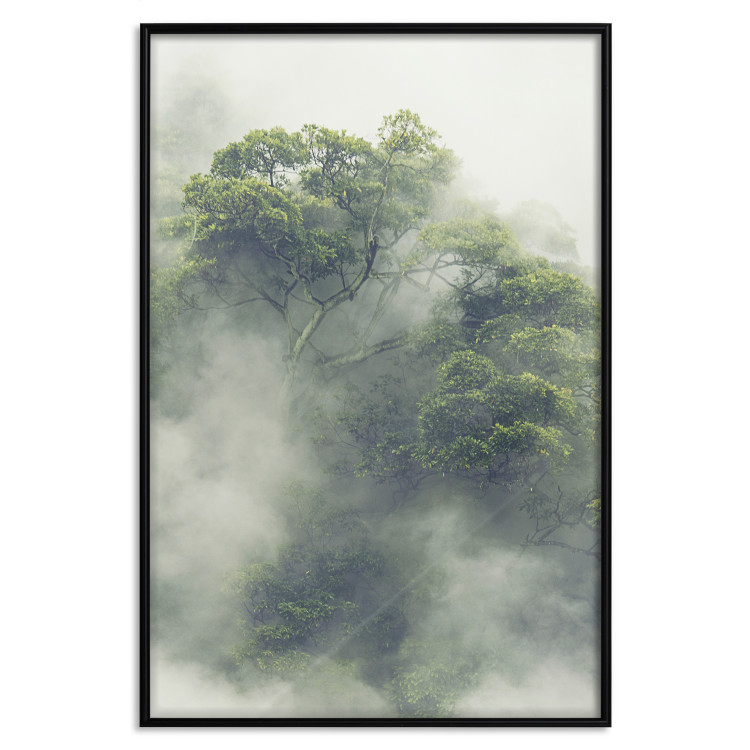 Wall Poster Misty Amazon - landscape of green tree crowns amidst dense fog 129421 additionalImage 16