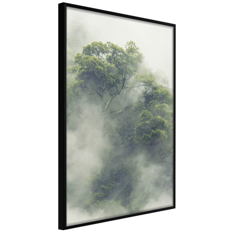 Wall Poster Misty Amazon - landscape of green tree crowns amidst dense fog 129421 additionalImage 11