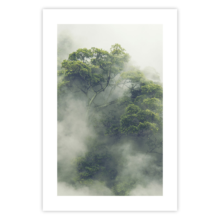 Wall Poster Misty Amazon - landscape of green tree crowns amidst dense fog 129421 additionalImage 19