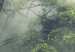 Wall Poster Misty Amazon - landscape of green tree crowns amidst dense fog 129421 additionalThumb 9