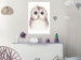 Wall Poster Cheerful Owl - portrait of an owl with a flower on a white contrasting background 135721 additionalThumb 20