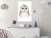 Wall Poster Cheerful Owl - portrait of an owl with a flower on a white contrasting background 135721 additionalThumb 25