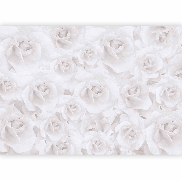 Wall Mural Beauty of nature - composition with white rose flowers in cool colours 143821 additionalImage 1