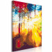 Paint by number Solar Blast - Sun’s Rays Penetrating the Trees 144621 additionalThumb 6