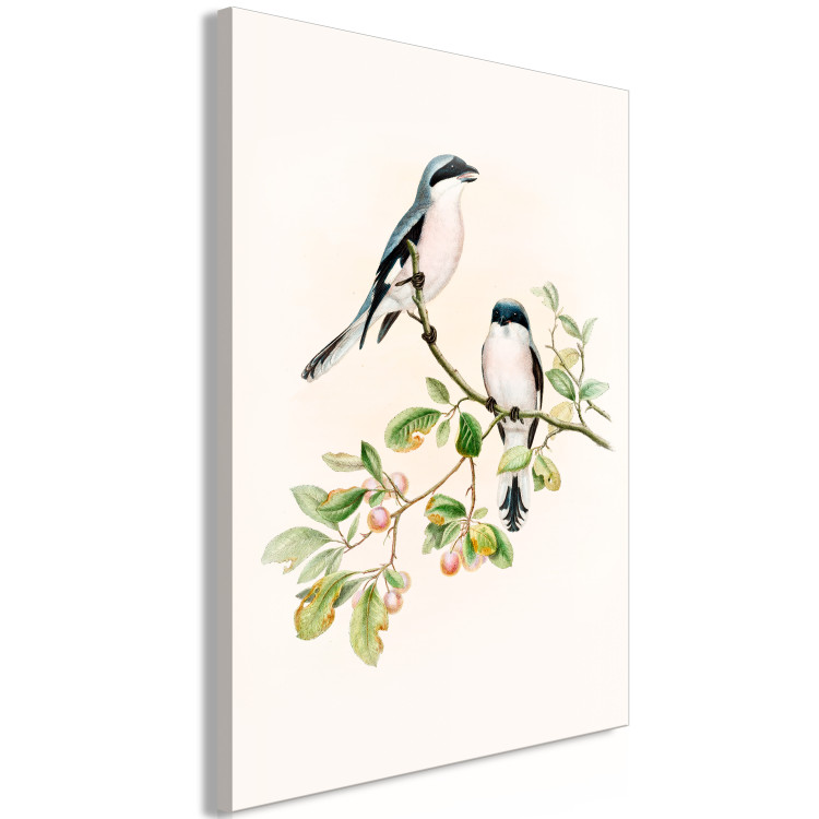 Canvas Black-Fronted Shrike - Illustration of a Pair of Birds on a Branch 149821 additionalImage 2