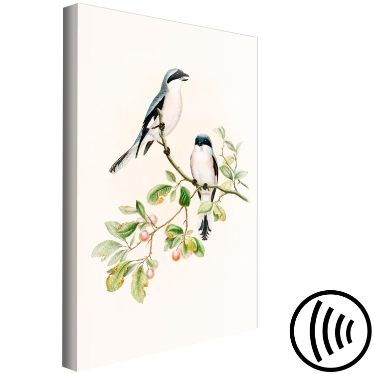 Canvas Black-Fronted Shrike - Illustration of a Pair of Birds on a Branch 149821 additionalImage 6