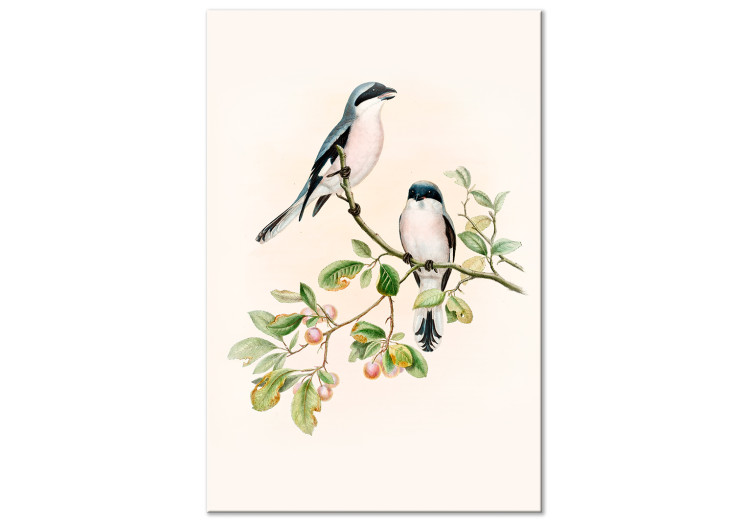 Canvas Black-Fronted Shrike - Illustration of a Pair of Birds on a Branch 149821