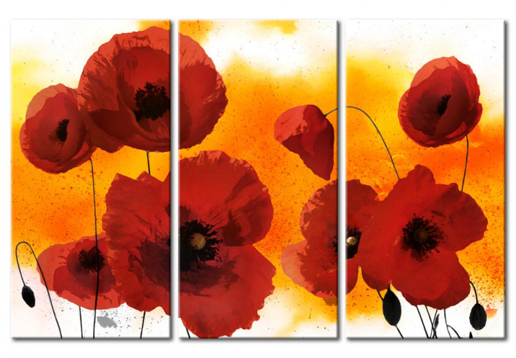 Canvas Sunny afternoon and poppies 55521