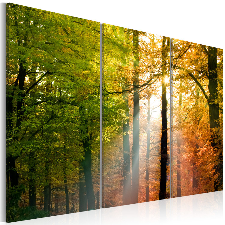 Canvas A calm autumn forest 58521 additionalImage 2