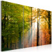Canvas A calm autumn forest 58521 additionalThumb 2