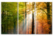 Canvas A calm autumn forest 58521