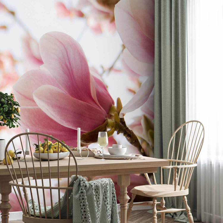 Wall Mural Pink Magnolia - Magnolia Flowers against Trees and a Blue Sky 60421 additionalImage 7