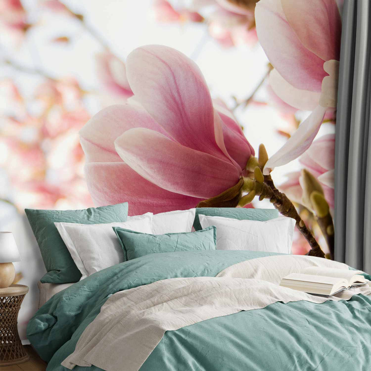 Wall Mural Pink Magnolia - Magnolia Flowers against Trees and a Blue Sky 60421 additionalImage 2