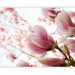 Wall Mural Pink Magnolia - Magnolia Flowers against Trees and a Blue Sky 60421 additionalThumb 5