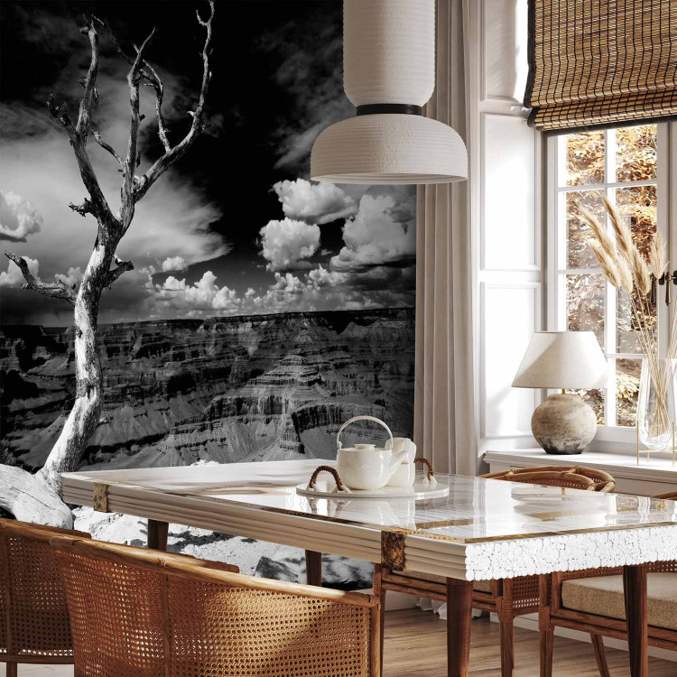 Wall Mural Grand Canyon - Black and White Landscape with a Single Tree in the Center 61621 additionalImage 7