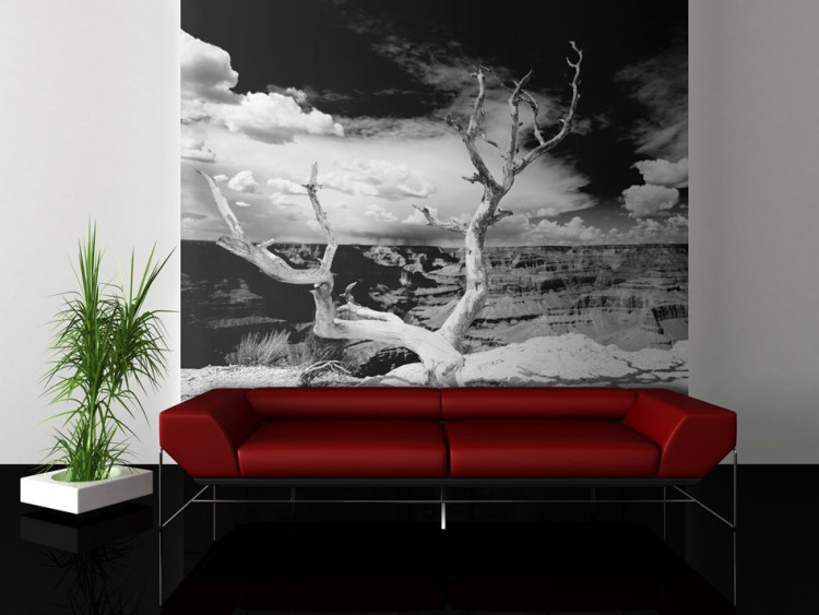 Wall Mural Grand Canyon - Black and White Landscape with a Single Tree in the Center 61621