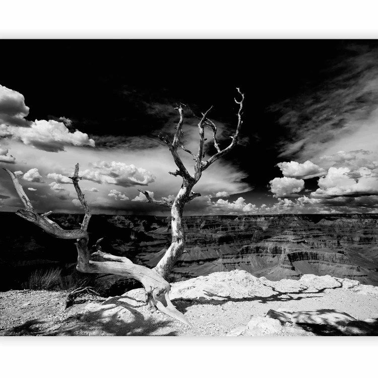 Wall Mural Grand Canyon - Black and White Landscape with a Single Tree in the Center 61621 additionalImage 5