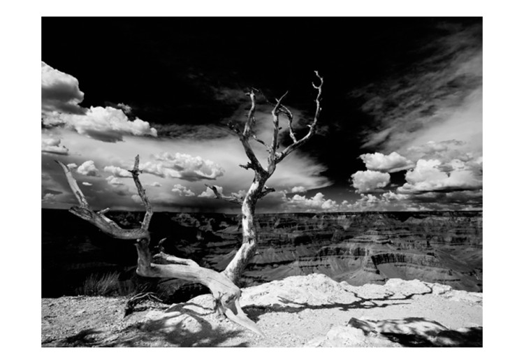 Wall Mural Grand Canyon - Black and White Landscape with a Single Tree in the Center 61621 additionalImage 1
