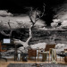 Wall Mural Grand Canyon - Black and White Landscape with a Single Tree in the Center 61621 additionalThumb 4