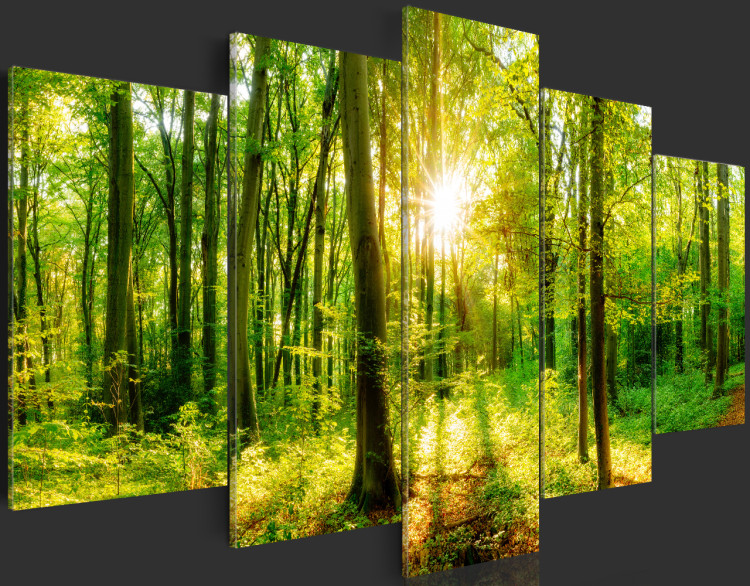 Print On Glass Forest Tale [Glass] 94221 additionalImage 4
