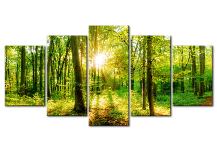 Print On Glass Forest Tale [Glass] 94221 additionalImage 2