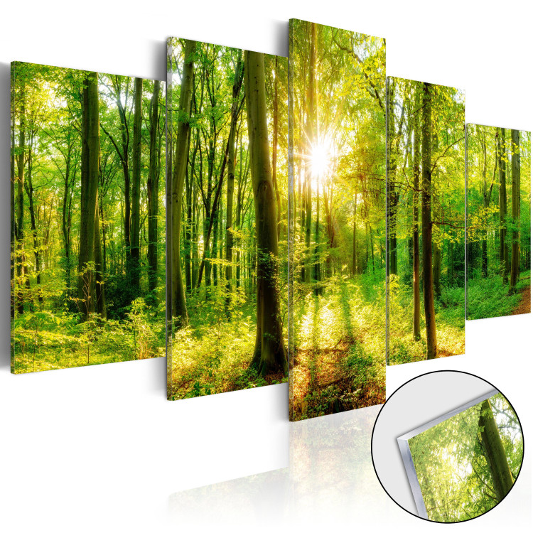 Print On Glass Forest Tale [Glass] 94221