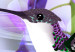 Photo Wallpaper Flying hummingbirds - flying birds motif among flowers in purple 108031 additionalThumb 8