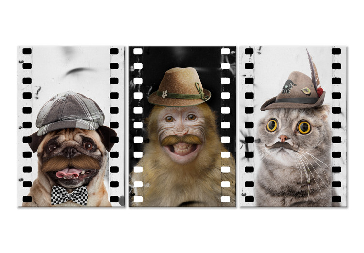 Canvas Print Funny Pets (Collection) 116831