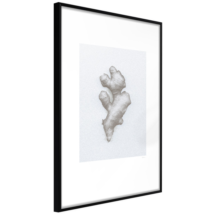 Wall Poster Ginger - minimalist composition with the warming root of nature 117531 additionalImage 10