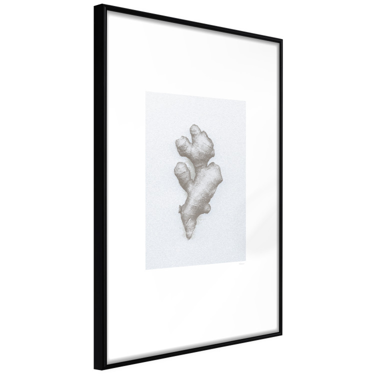 Wall Poster Ginger - minimalist composition with the warming root of nature 117531 additionalImage 11