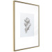 Wall Poster Ginger - minimalist composition with the warming root of nature 117531 additionalThumb 6