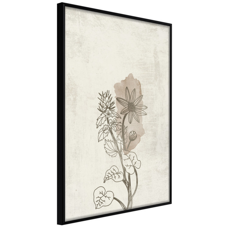 Wall Poster Nature Outline - flower with leaves on a light beige background in a retro motif 125731 additionalImage 10