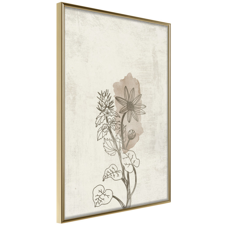 Wall Poster Nature Outline - flower with leaves on a light beige background in a retro motif 125731 additionalImage 12
