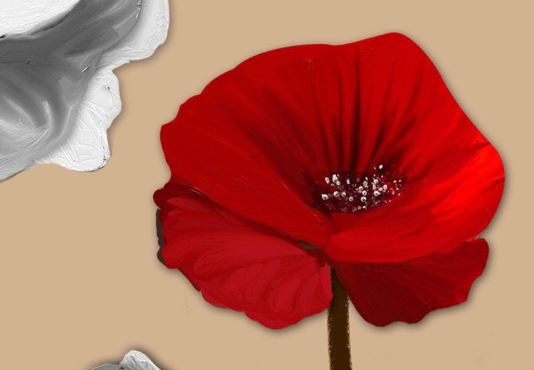 Canvas Print White and red poppies - triptych with flowers on a brown background 128831 additionalImage 4