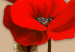 Canvas Print White and red poppies - triptych with flowers on a brown background 128831 additionalThumb 5