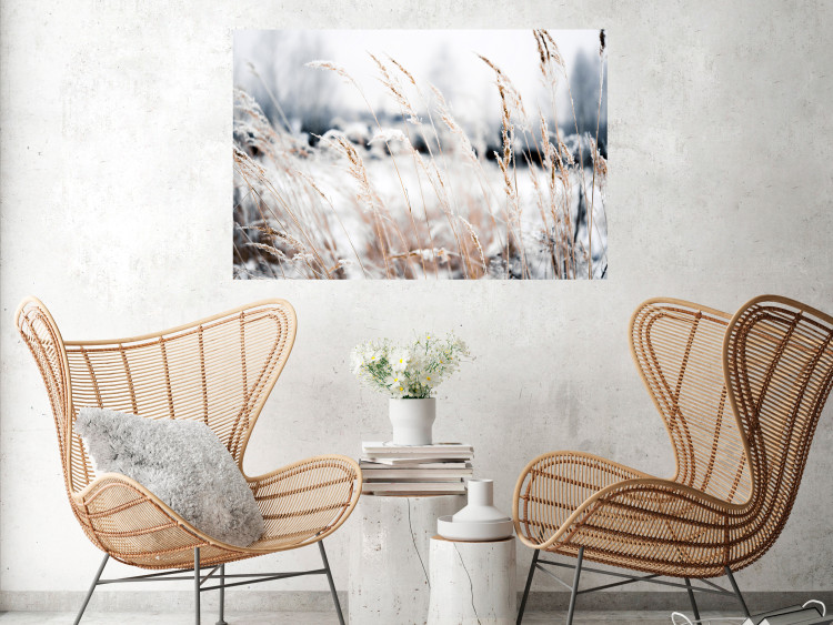 Wall Poster Land of Ice - winter landscape of a meadow with golden plants on a light background 129831 additionalImage 3