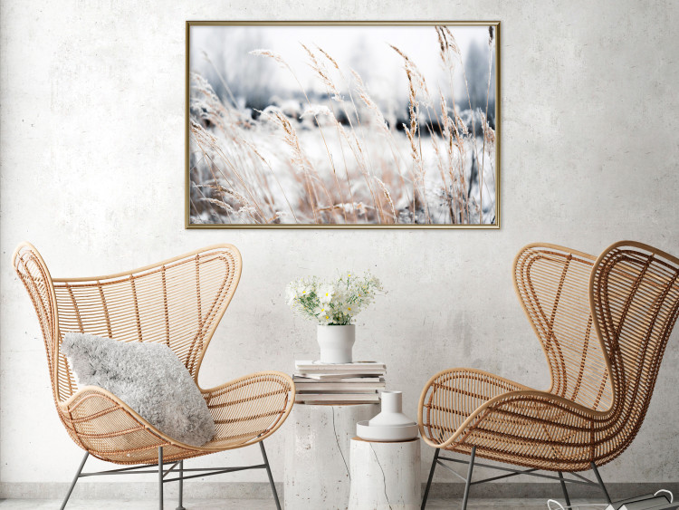 Wall Poster Land of Ice - winter landscape of a meadow with golden plants on a light background 129831 additionalImage 6