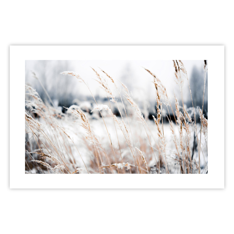 Wall Poster Land of Ice - winter landscape of a meadow with golden plants on a light background 129831 additionalImage 19
