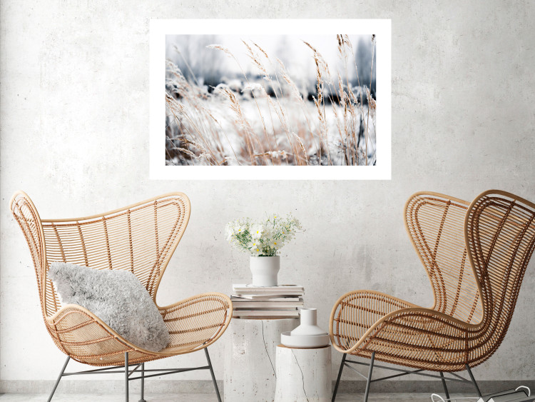 Wall Poster Land of Ice - winter landscape of a meadow with golden plants on a light background 129831 additionalImage 4