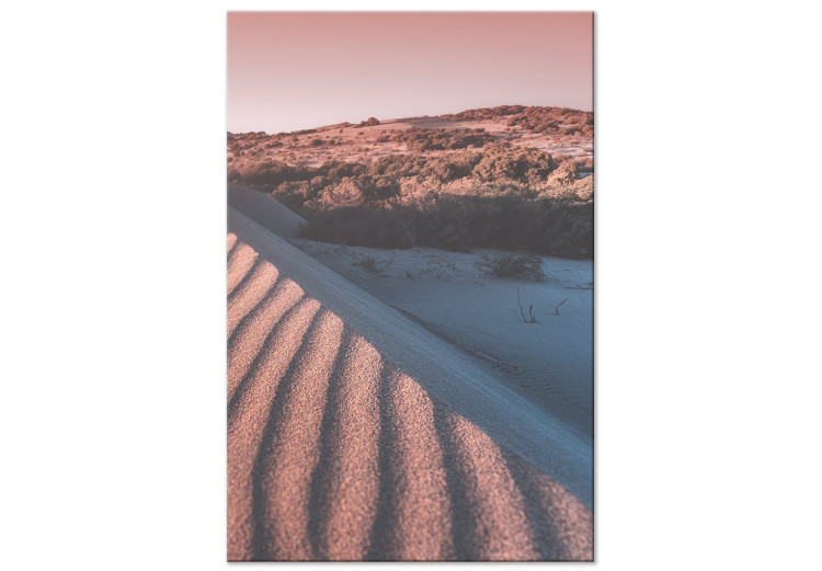 Canvas Pink Sands (1-piece) Vertical - landscape of the Arab desert 134731