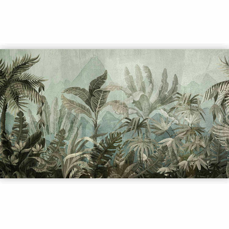 Wall Mural Jungle - Rain Forest in the Fog and Dark Green Mountain Landscape 146431 additionalImage 1