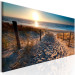 Large canvas print Sunset Path III [Large Format] 149031 additionalThumb 3