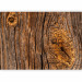 Photo Wallpaper Old tree - brown background with texture of rough bark with irregularities 91631 additionalThumb 5