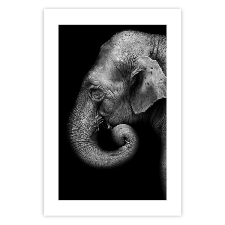 Wall Poster Elephant Portrait - black and white composition with an African animal 116441 additionalImage 19