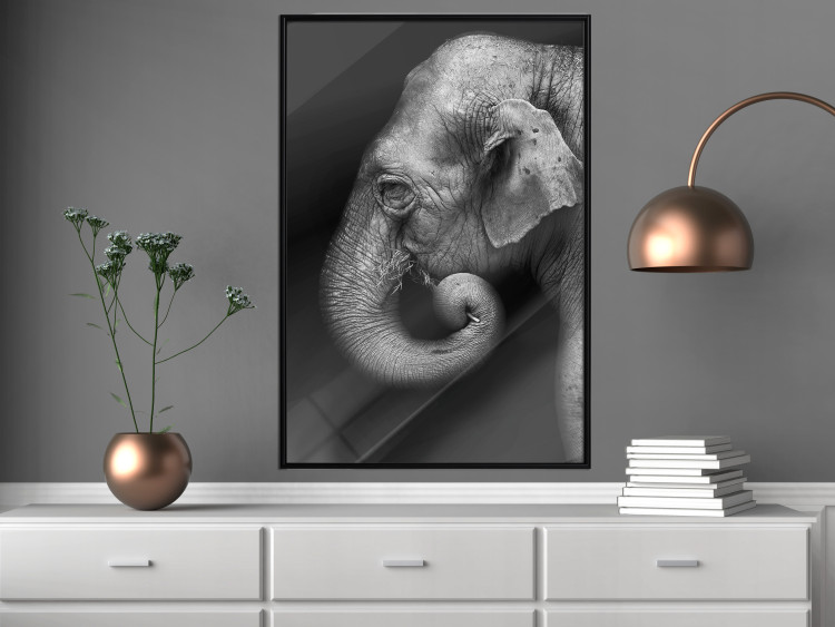 Wall Poster Elephant Portrait - black and white composition with an African animal 116441 additionalImage 3